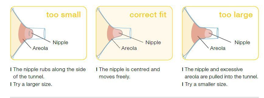 Best Breast Pump For Small Breasts,best breast pump for large breast,better breast pump,best breast pump for low supply,does breast size affect breastfeeding,which spectra pump is the best,spectra s2,do small breasts sag after breastfeeding,lansinoh signature pro vs medela pump in style