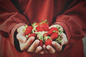 Organic vs Conventional food 
